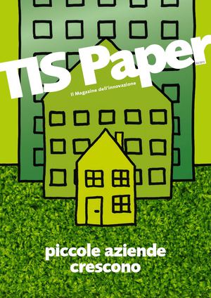 TIS Paper 02/2013 Piccole aziende crescono