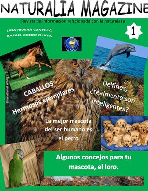 revista wiki