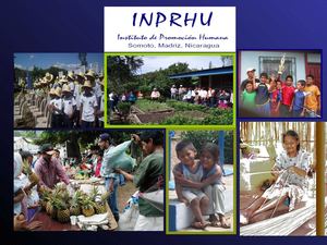 Contrapartes locales