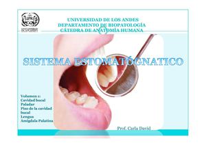 SISTEMA ESTOMATOGNÁTICO I