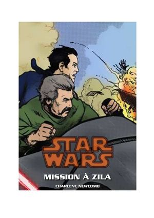 Mission à Zila