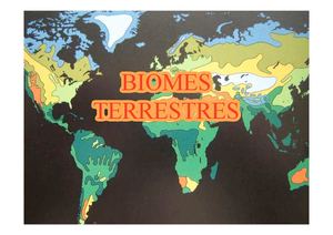 Biomes terrestres