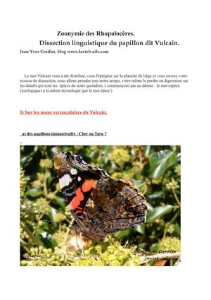 Origine du nom du papillon Vulcain (Zoonymie).