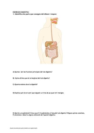 Exercicis del aparell digestiu