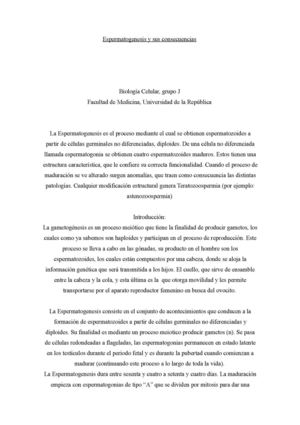tarea