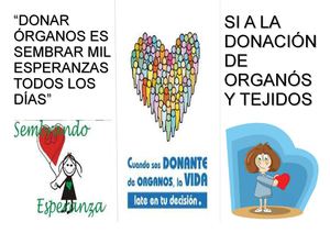 TRIPTICO DE DONACIÓN , PORTADA