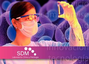 SDM Portafolio de Servicios