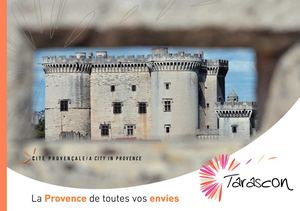 Document d'appel 2013 Tarascon