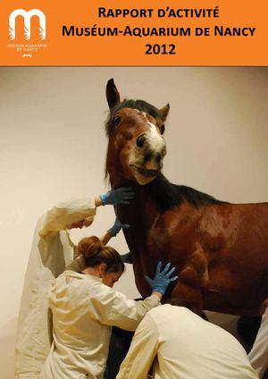 Rapport d'activités 2012 - Muséum-Aquarium de Nancy