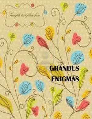Grandes enigmas- Informatica