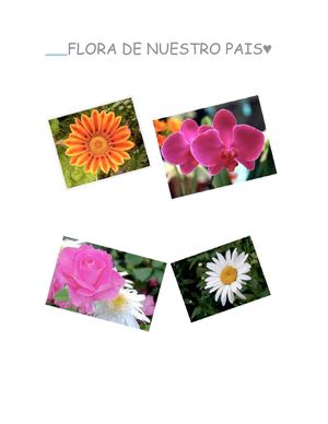 FLORES