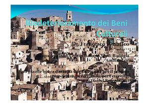 biodeterioramento dei beni culturali1