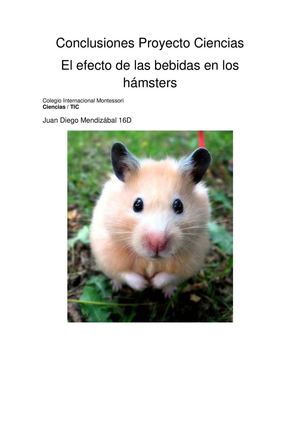 El efecto de las bebidas en los hámsters conclusiones