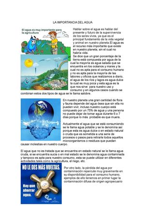 importancia del agua