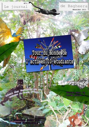 Journal de Bagheera n°11