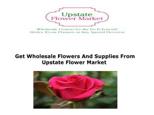 Get Wholesale Flowers And Supplies From Upstate Flower Market 