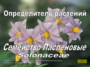 Определитель растений "Семейство Паслёновые"