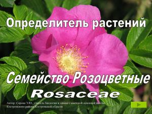 Определитель растений "Семейство Розоцветные"