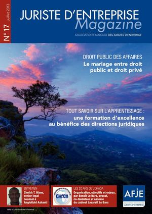JURISTE D'ENTREPRISE Magazine n°17