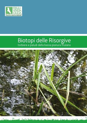 Biotopi delle Risorgive torbiere e paludi della bassa pianura friulana (2008)