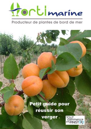 Petit guide pour réussir son verger