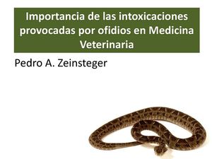 Importancia de las intoxicaciones provocadas por ofidios en medicina veterinaria