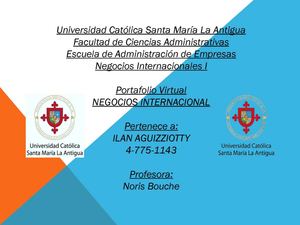 PORTAFOLIO DE NEGOCIOS INTERNACIONALES