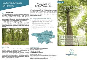 Randonnée forêt d'Arques 2