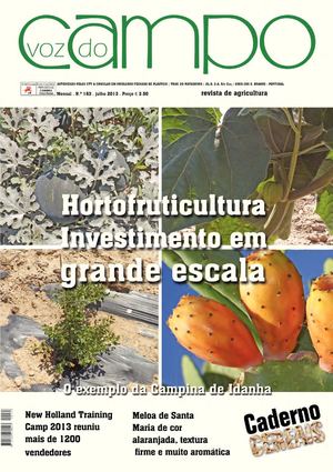 edição 163_julho 2013