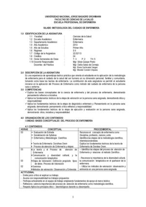 SILABO METODOLOGIA DEL CUIDADO 2013 julio (1)
