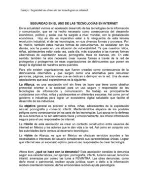 Ensayo seguridad en internet curso