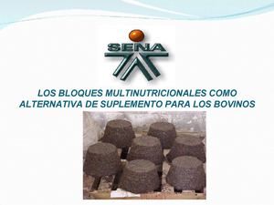 BLOQUES MULTINUTRICIONALES