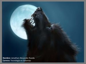 Pressentación Estadistica