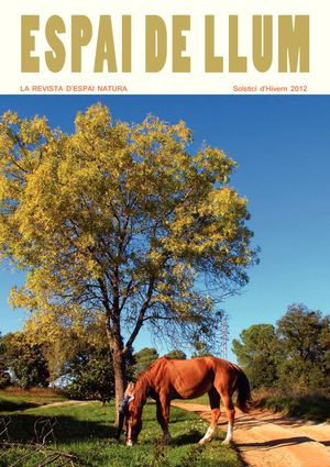 Espai de Llum - Solstici d'hivern 2012