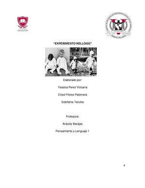 EXPERIMENTO GUA EL CHIMPANCE