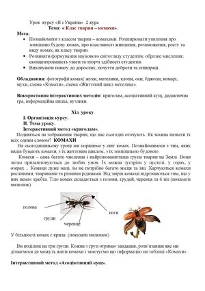 Клас тварин-комахи