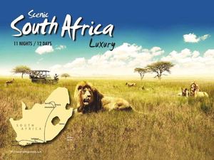 South Africa Trip Package By Flamingo Travels