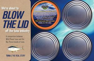 Wild Planet Branding Deck