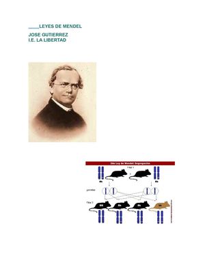 LEYES DE MENDEL