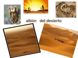 zonas calidas:Desierto