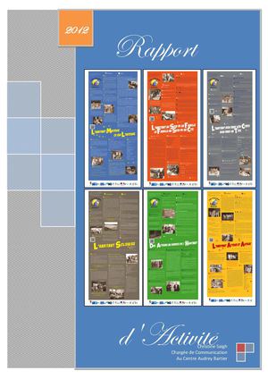 rapport d'activités 2013