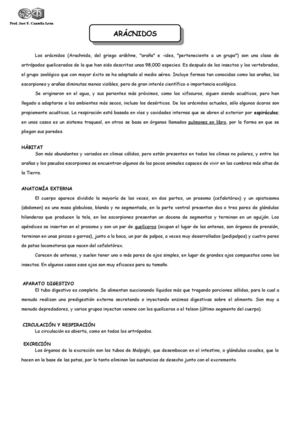 los arácnidos