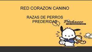 Razas de Perro Preferidas 