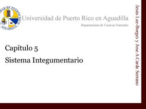 Presentacion Cap 5 Biol 3791 - Integumentario