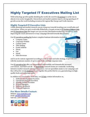 Highly Targeted IT Executives Mailing List