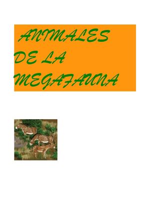 MEGAFAUNA
