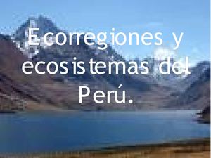 ECORREGIONES Y ECOSISTEMAS DEL PERU