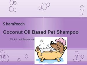 Shampooch Brochure
