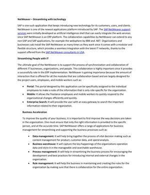 SAP Netweaver Support -Streamlining with technology