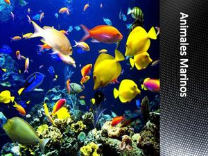 Los Animales Marino